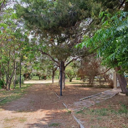 El.Paraiso, Torrevieja Zewnętrze zdjęcie